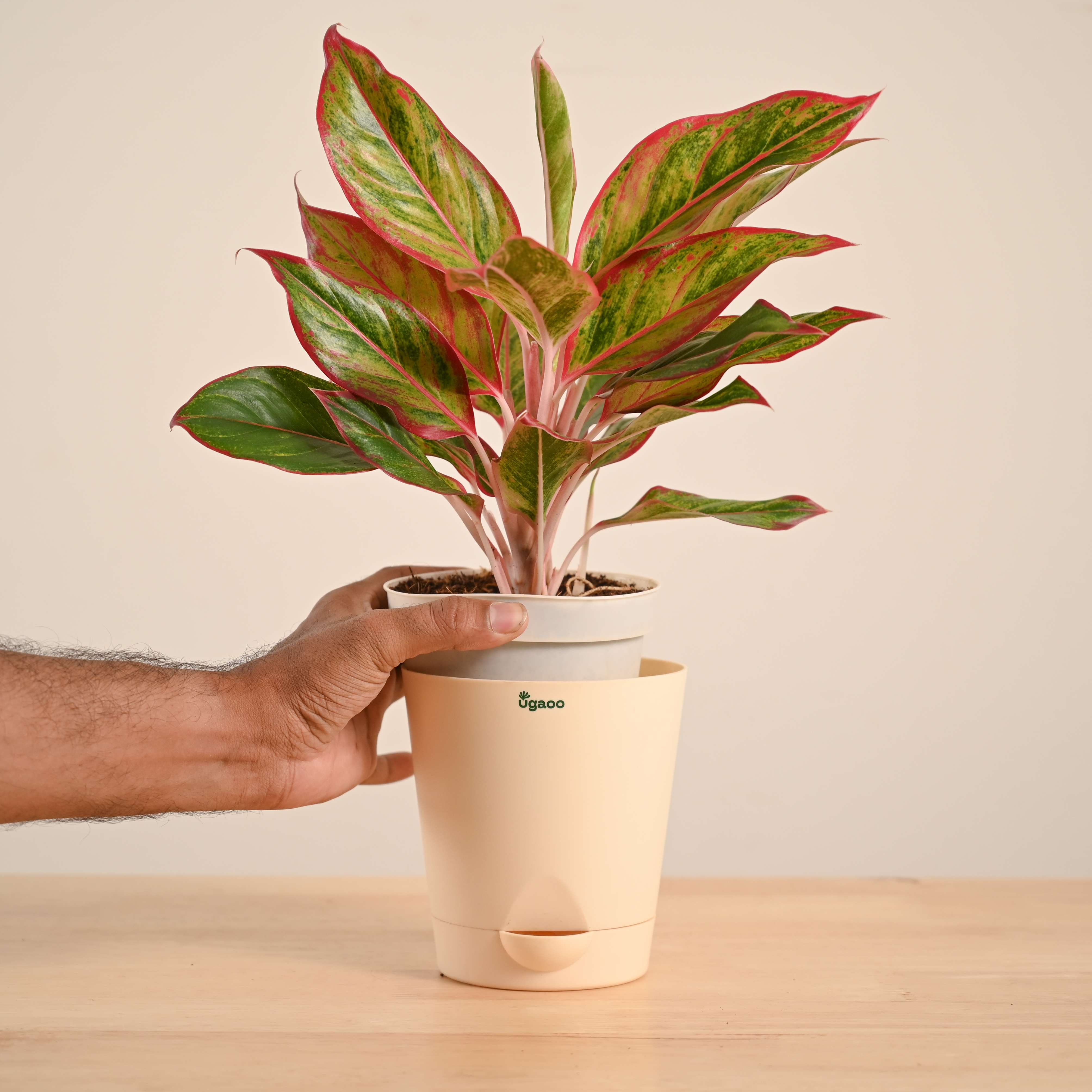 Product image 70