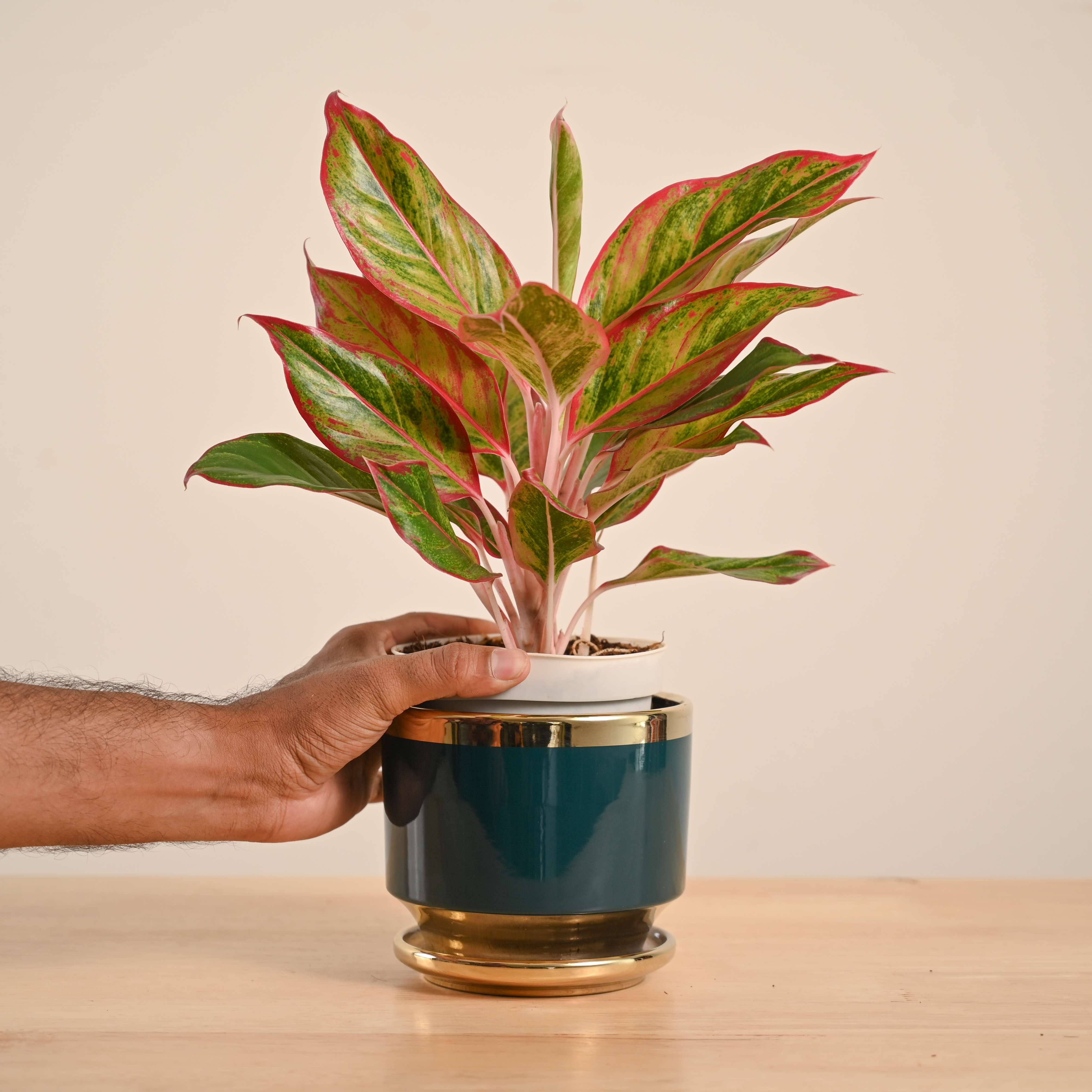Product image 82