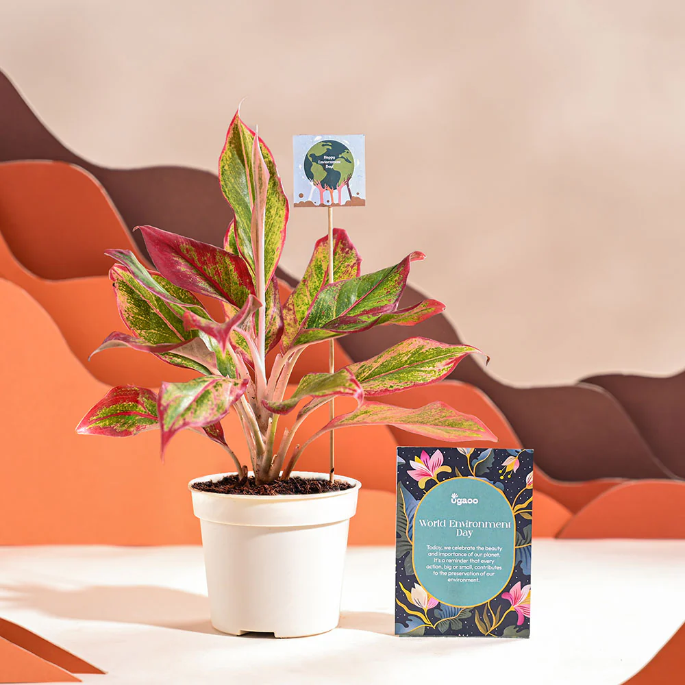 Product image 68