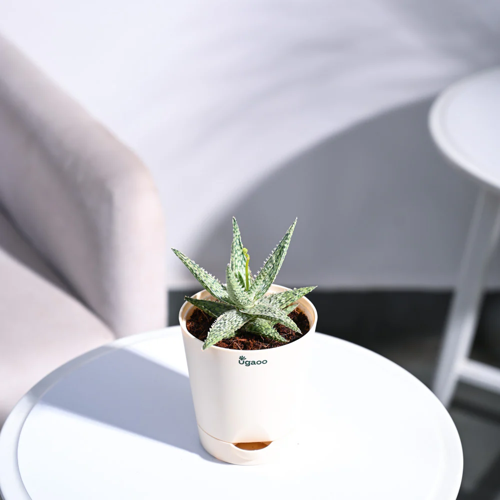 Product image 85