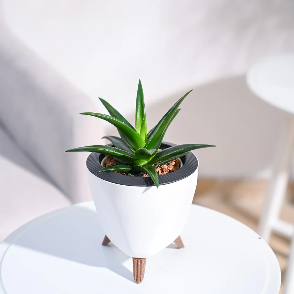 Product image 115