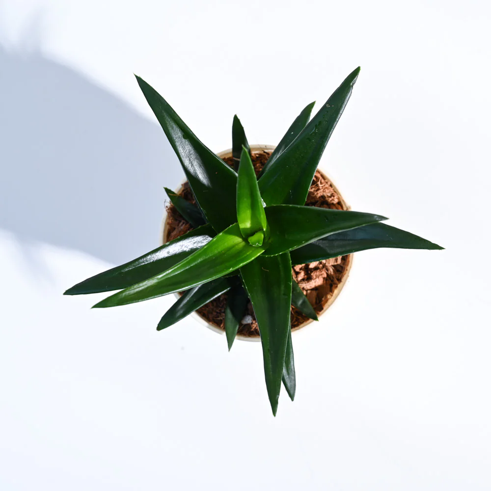 Product image 144