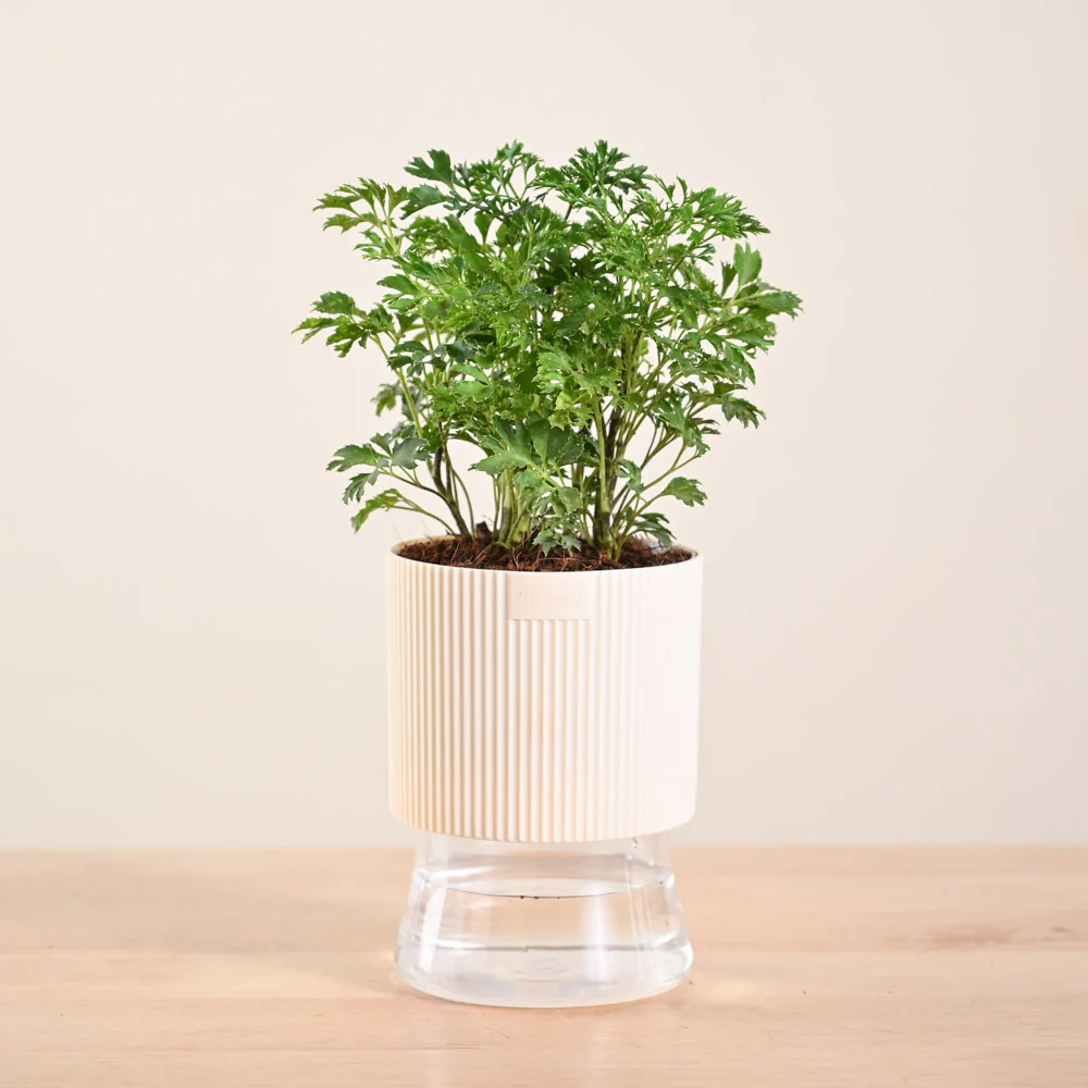Product image 122