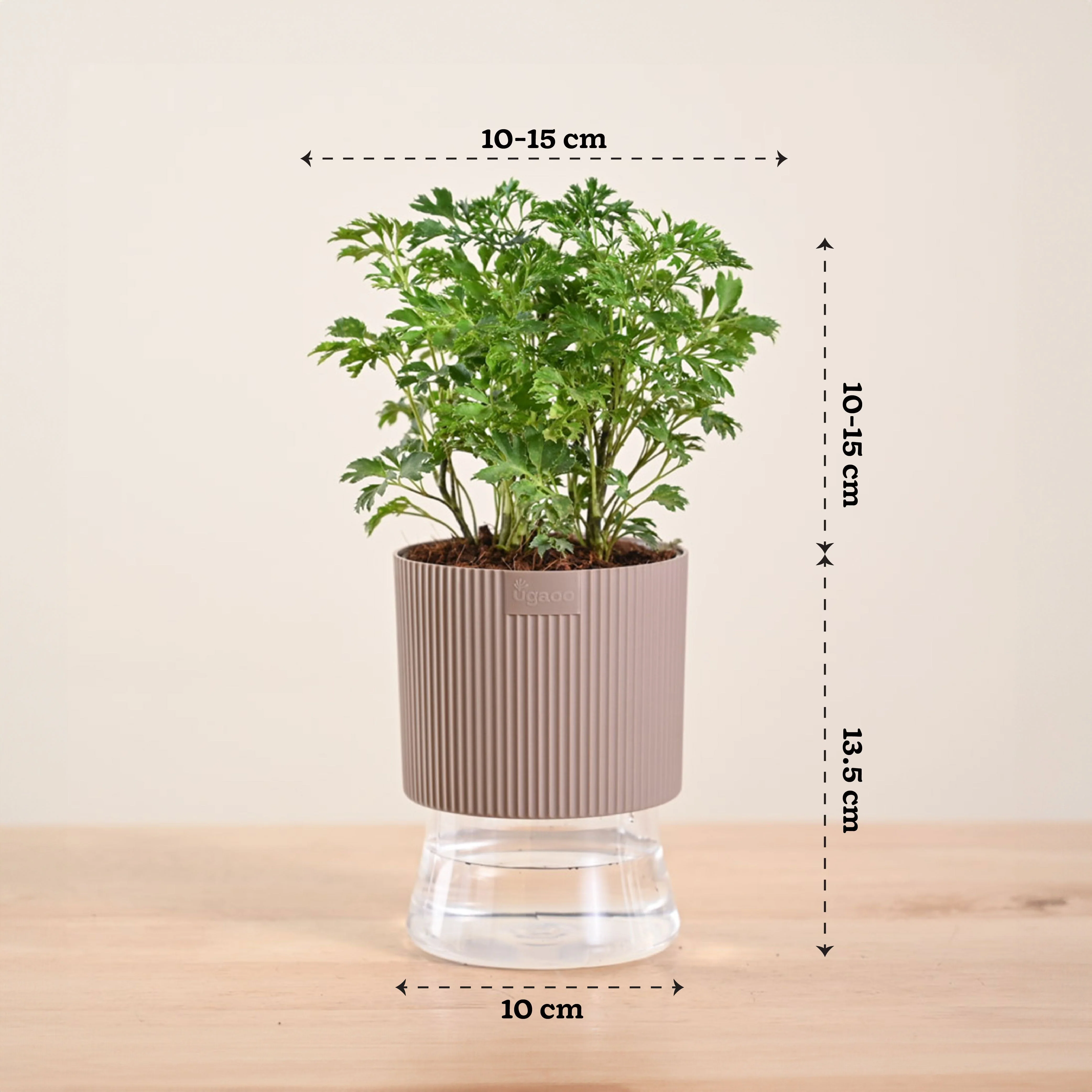 Product image 123