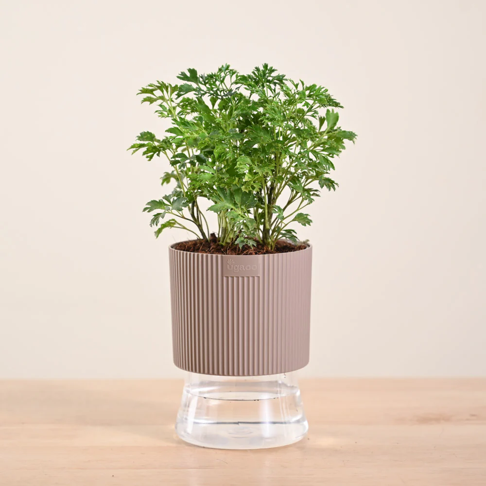 Product image 124