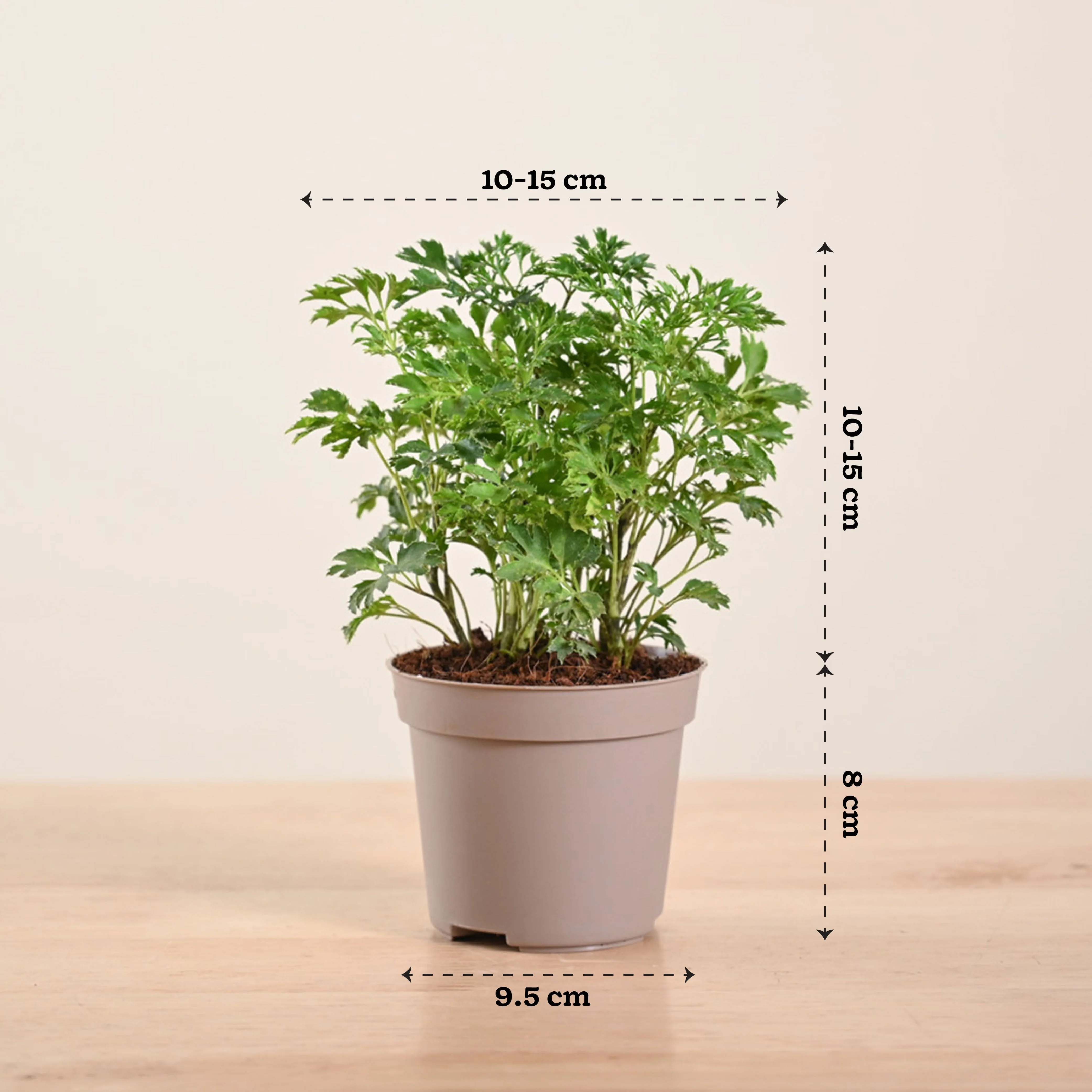 Product image 132