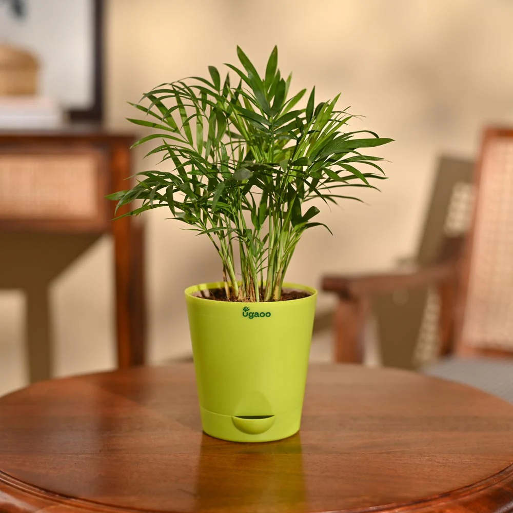 Product image 77