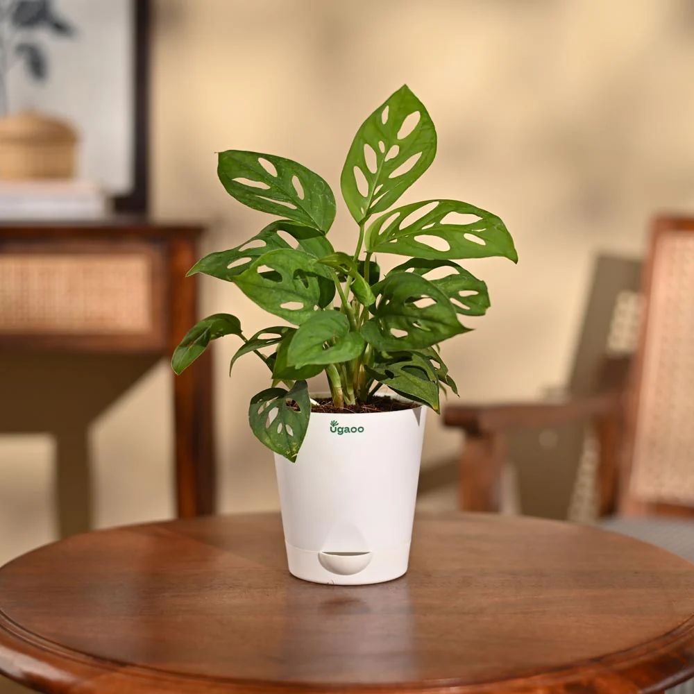 Product image 89