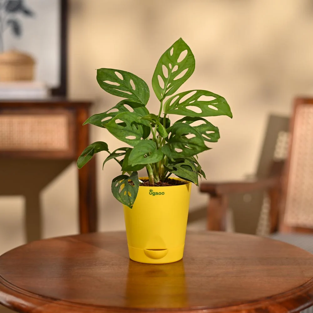 Product image 90