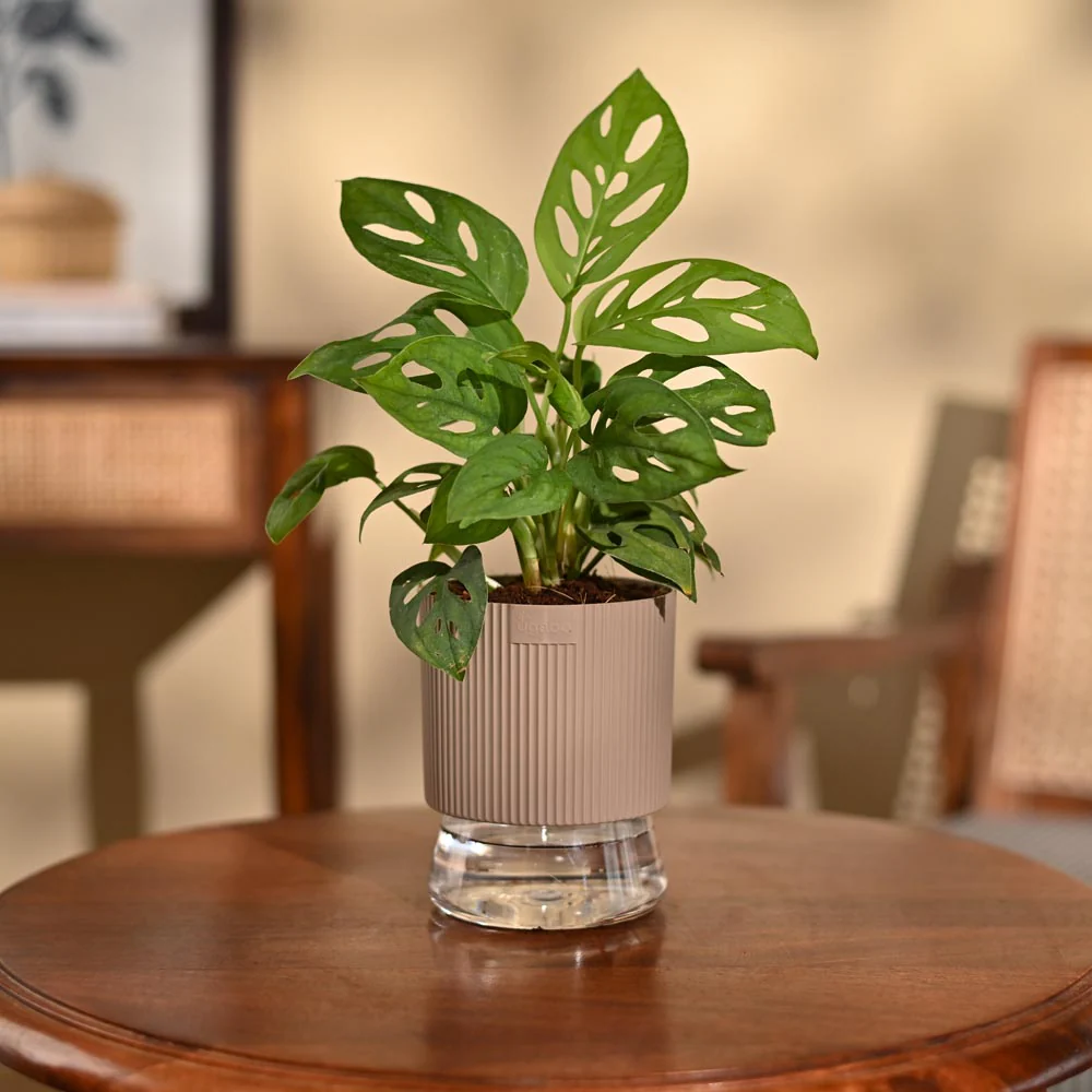 Product image 94
