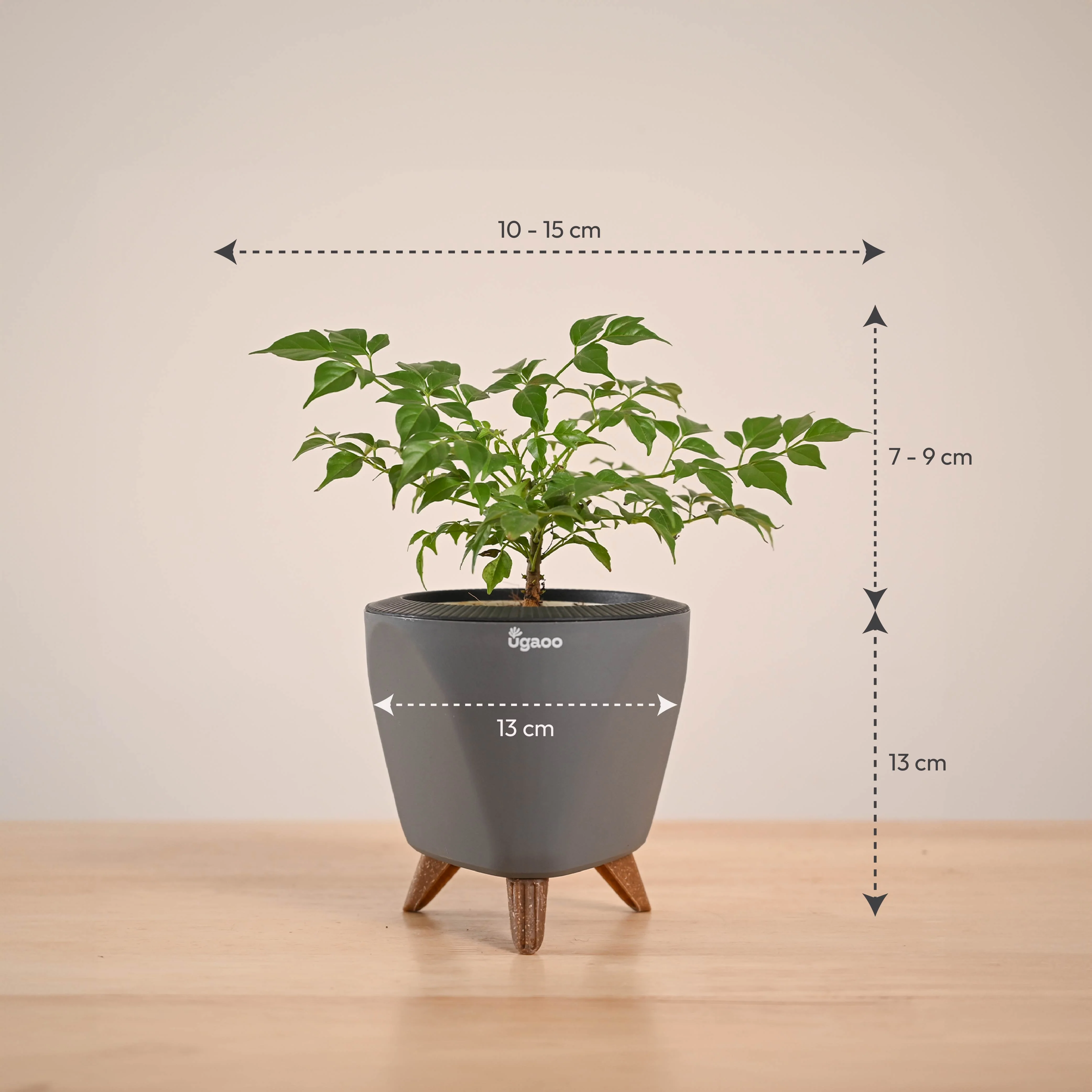 Product image 48