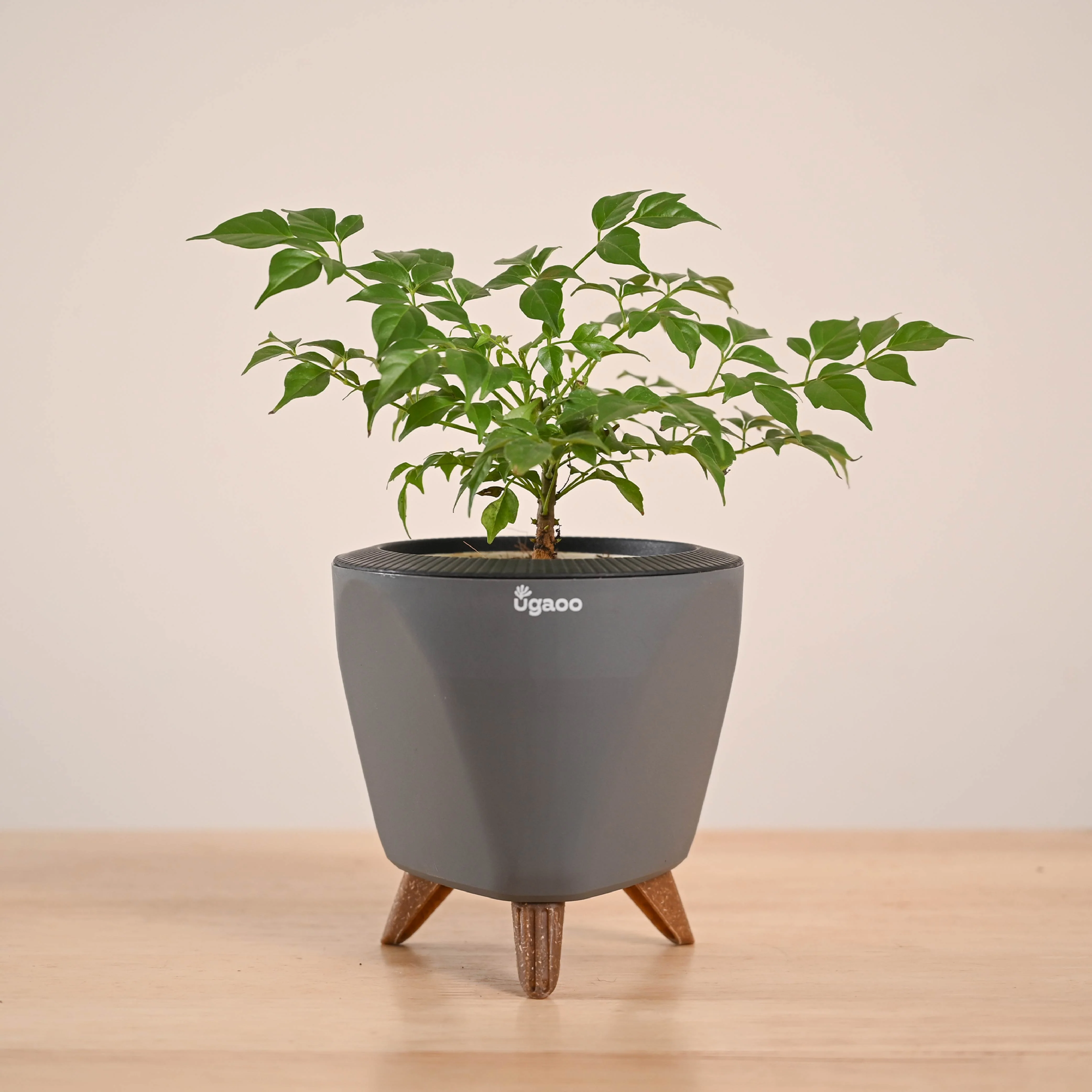 Product image 55