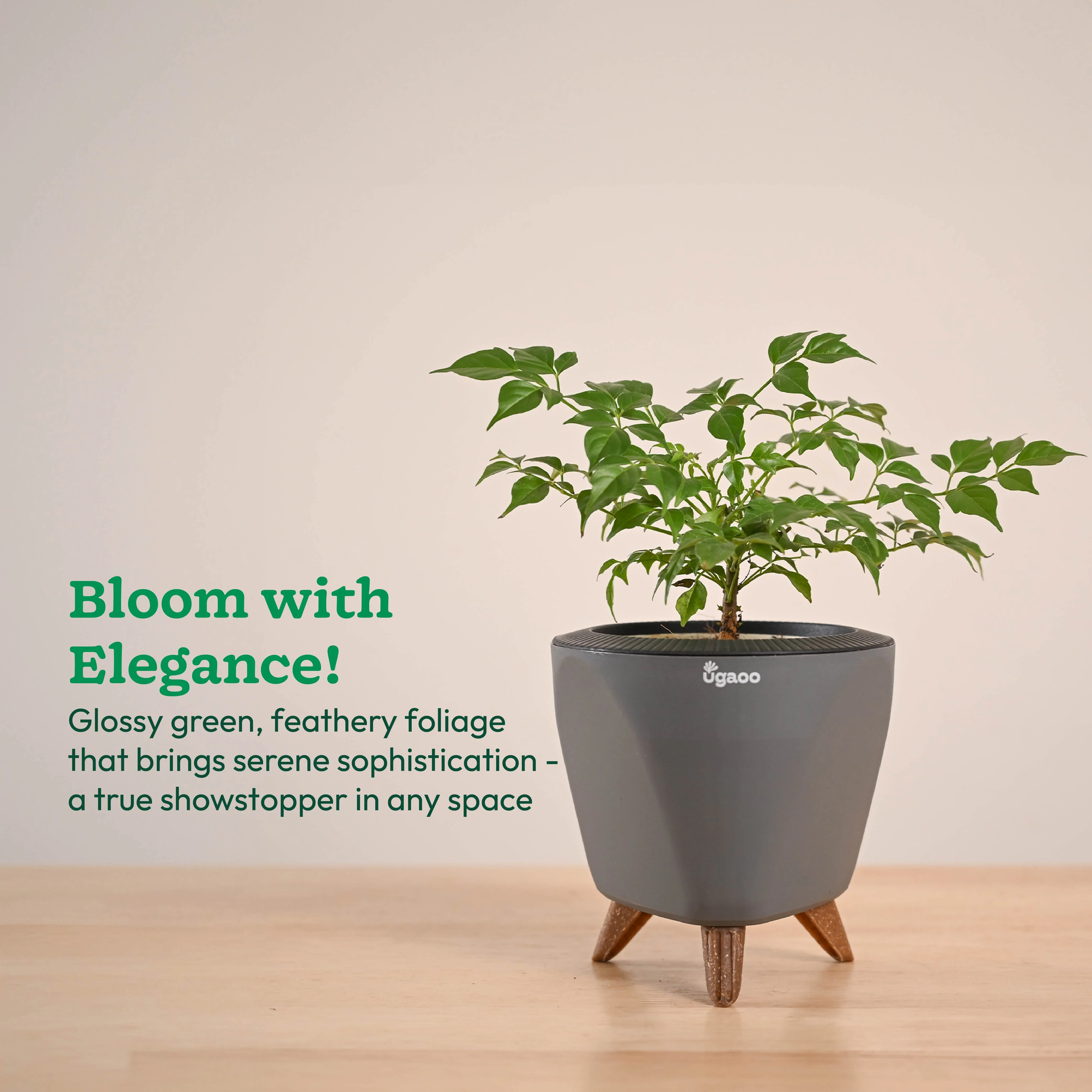 Product image 56