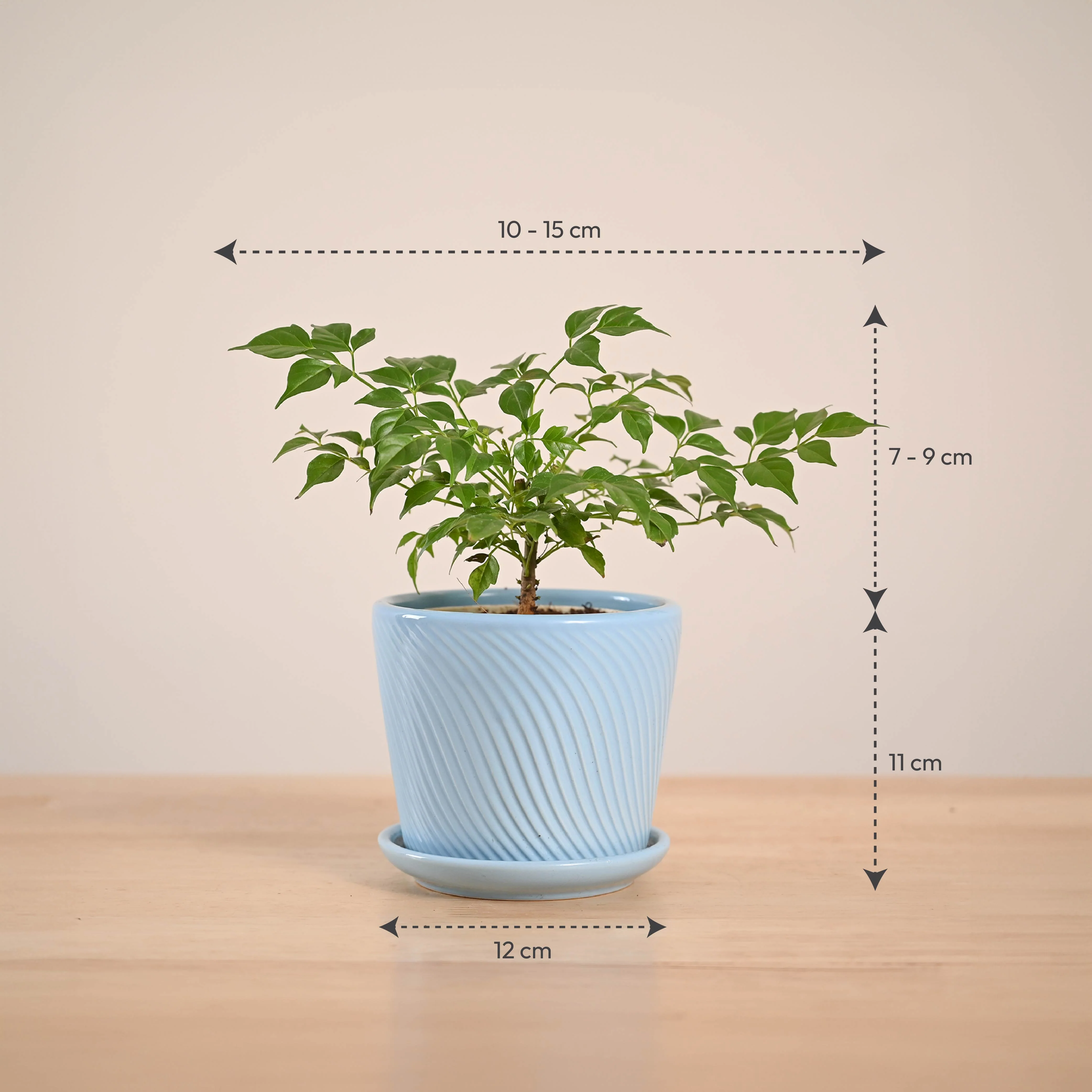 Product image 75