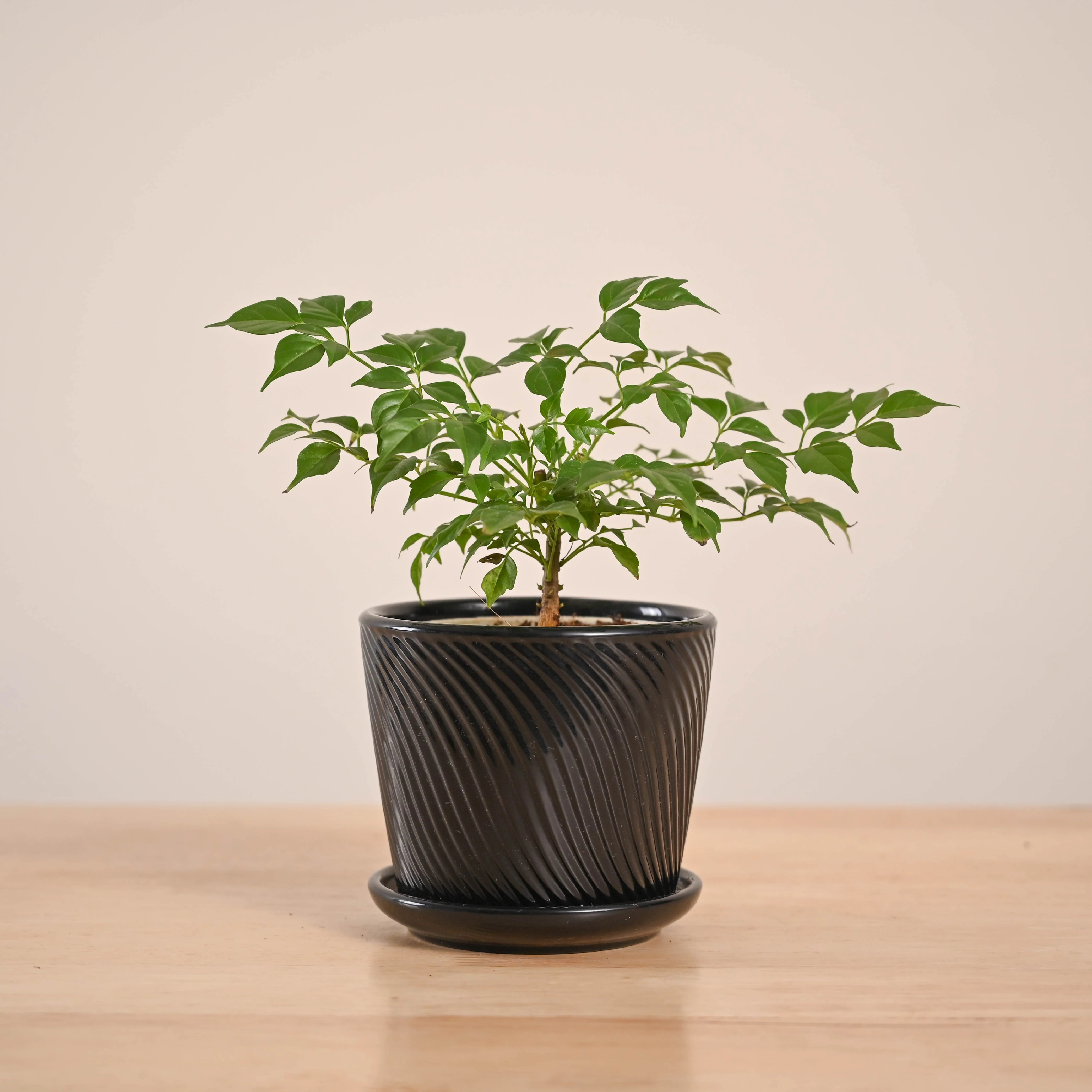 Product image 81