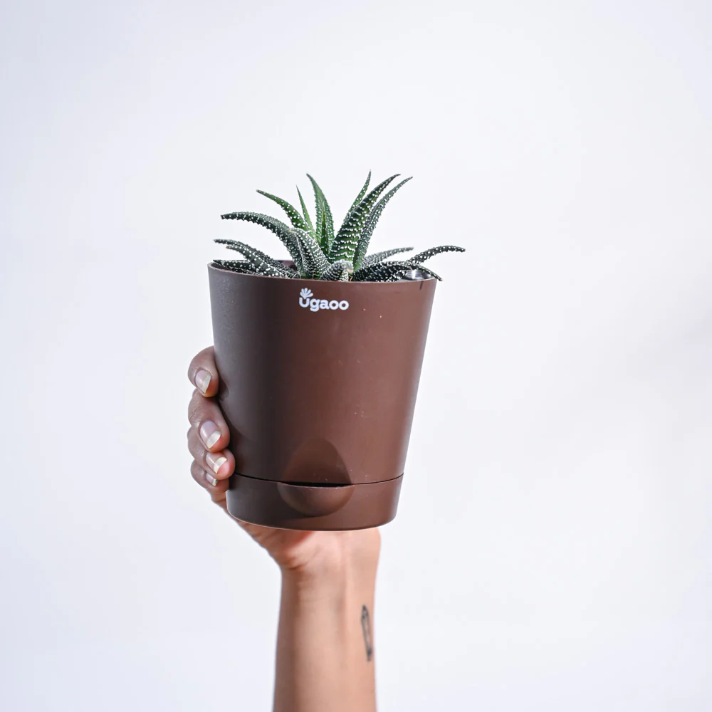 Product image 126