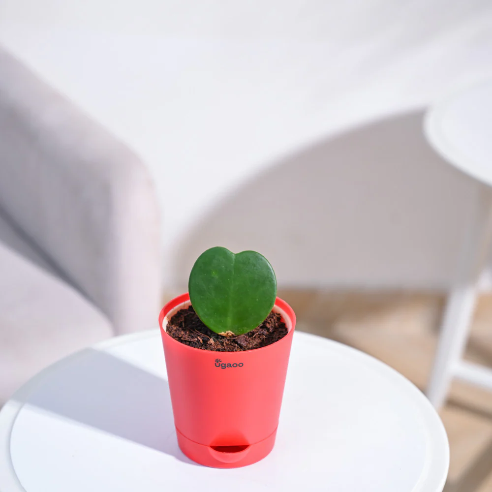 Product image 118