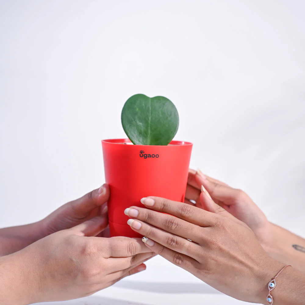 Product image 119