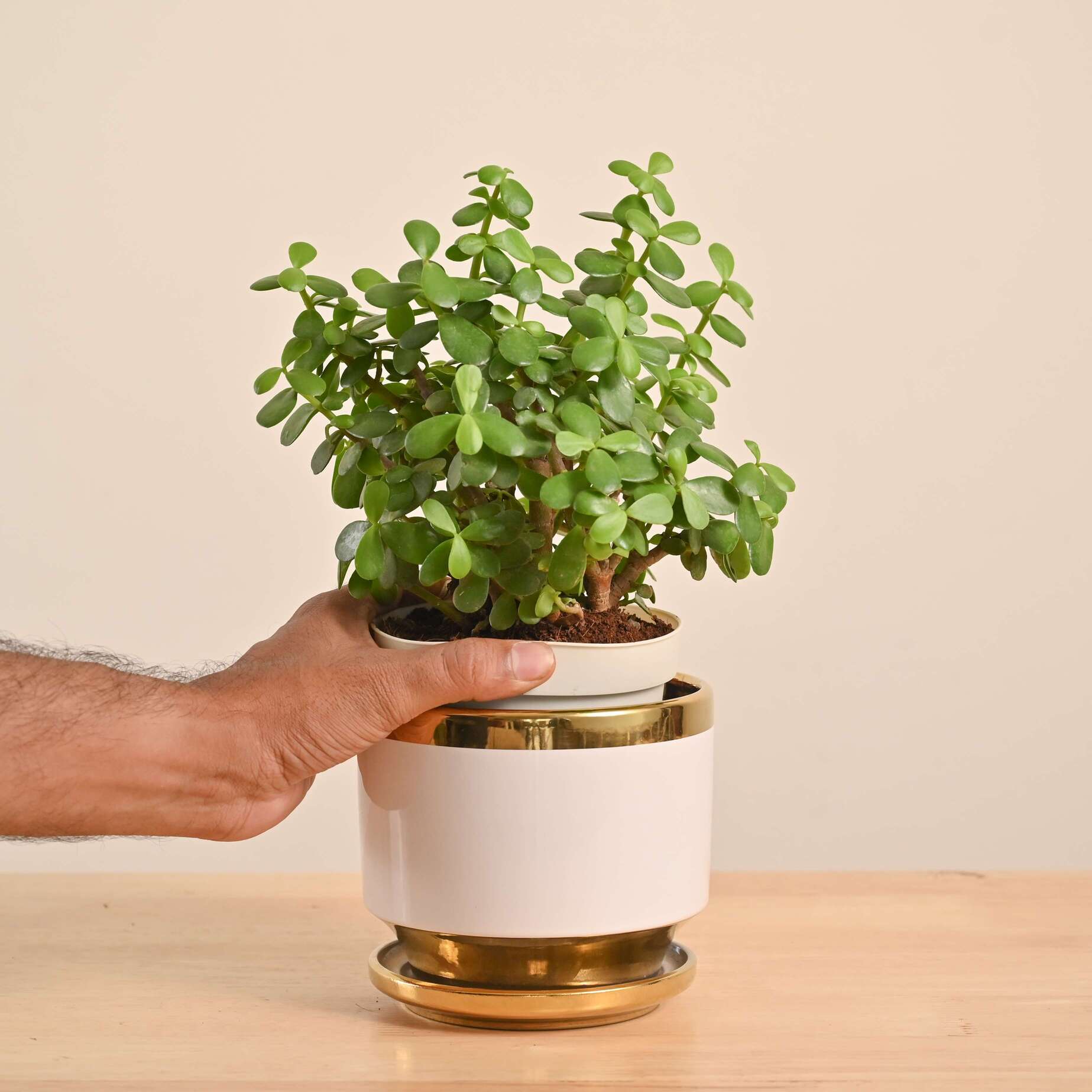 Product image 52