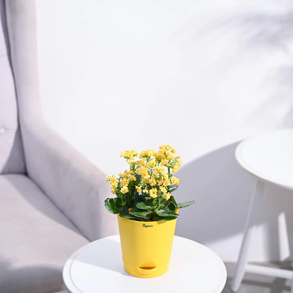 Product image 91