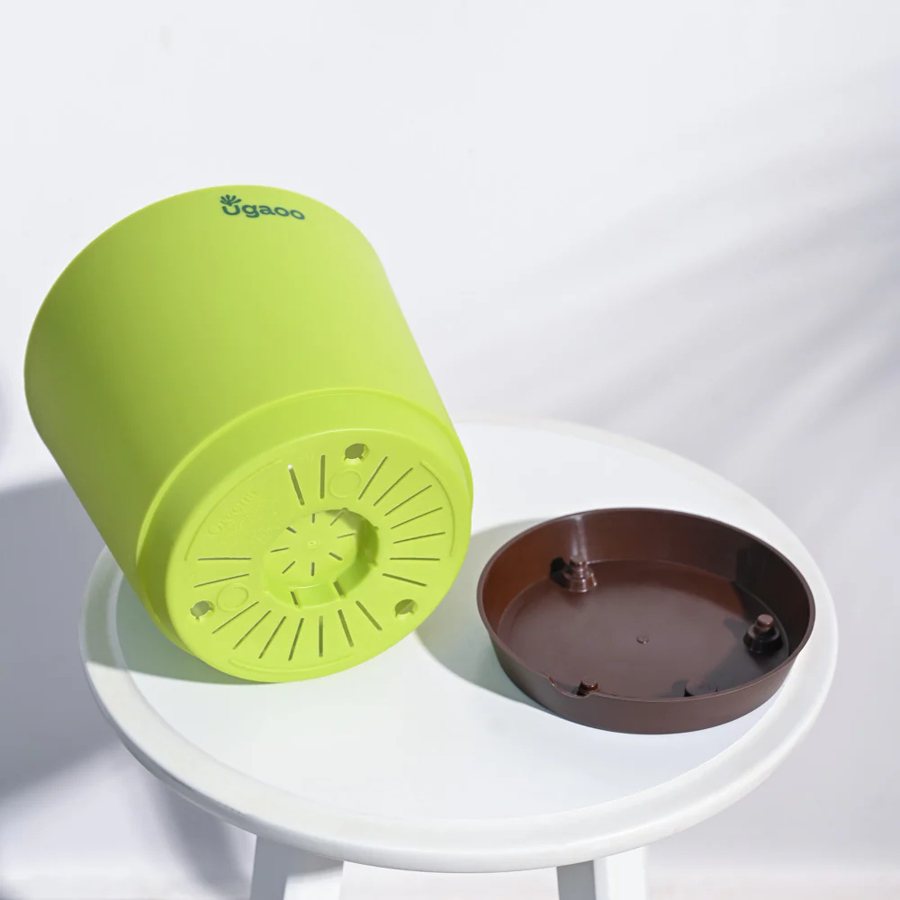 Product image 81
