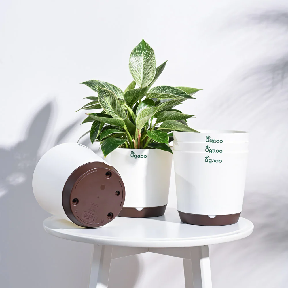 Product image 91