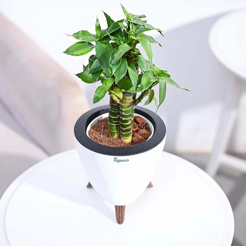 Product image 130