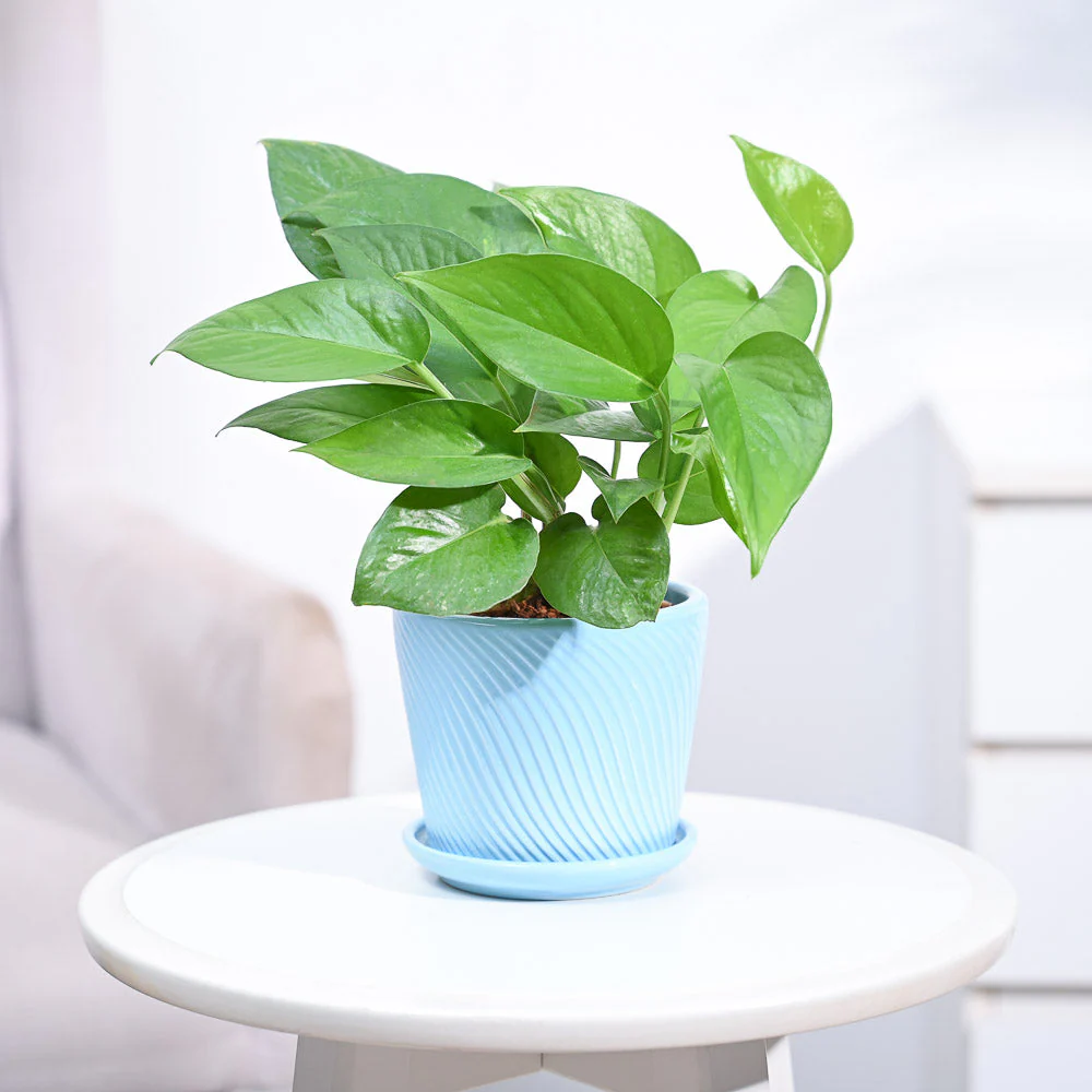 Product image 104
