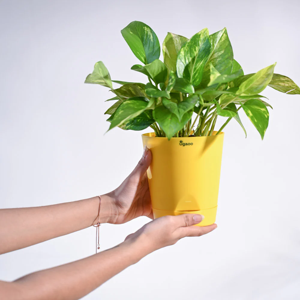 Product image 122
