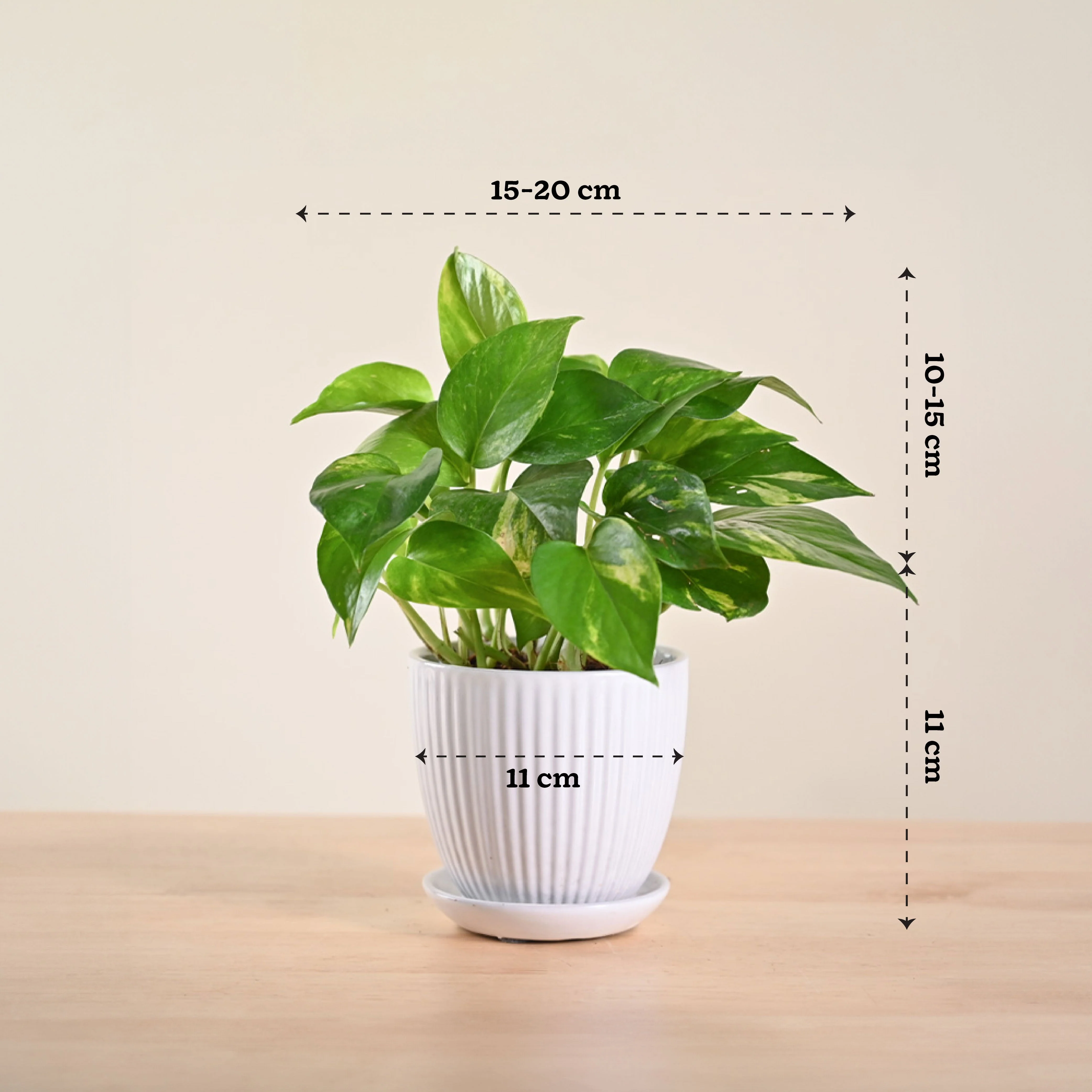 Product image 159
