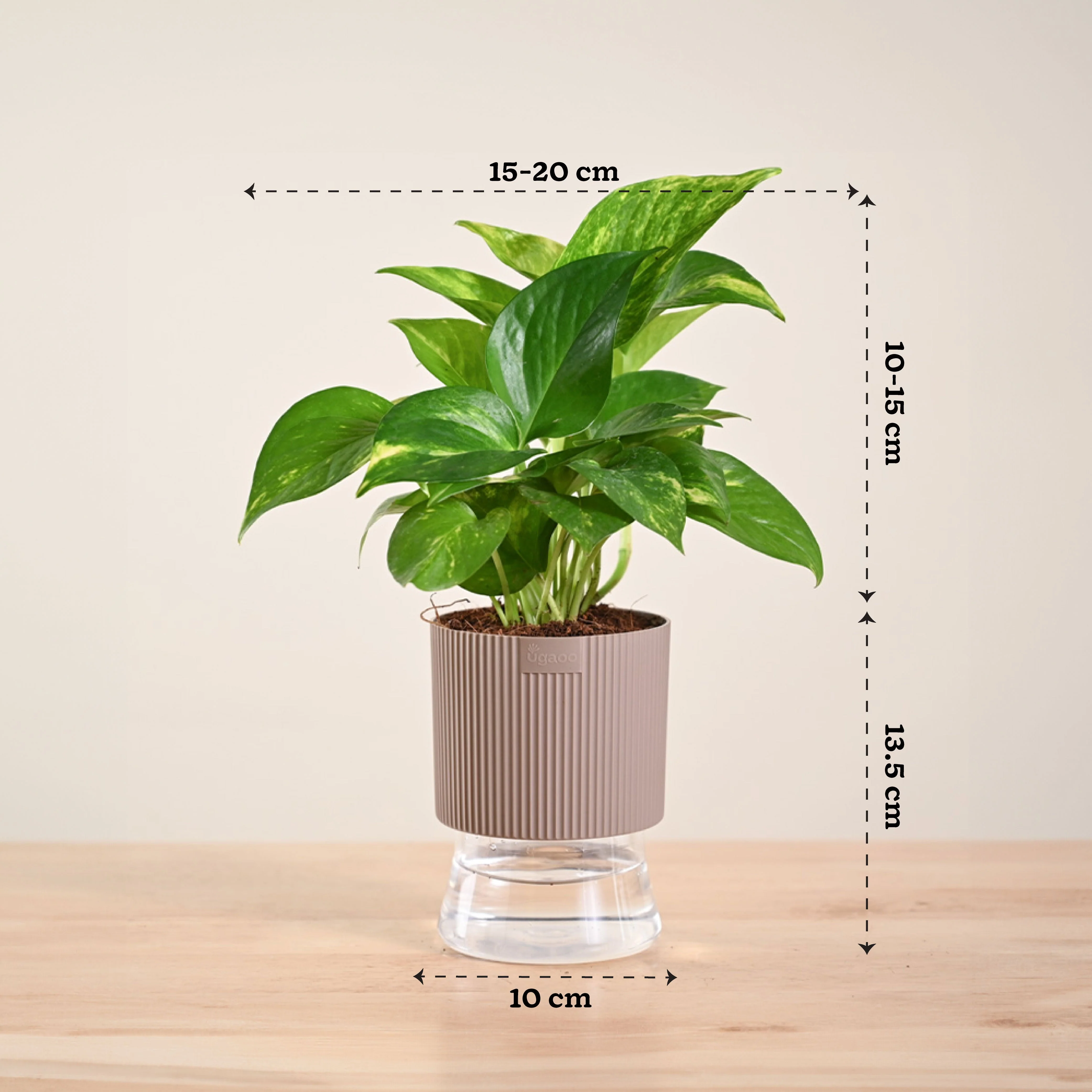 Product image 173
