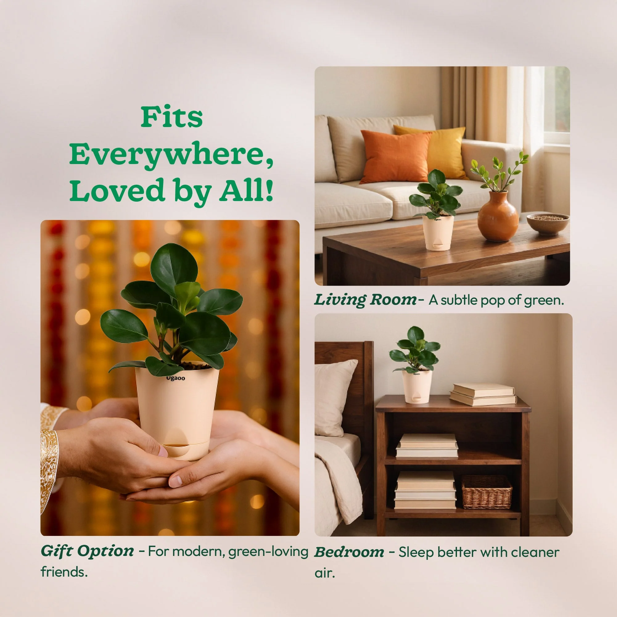 Product image 114