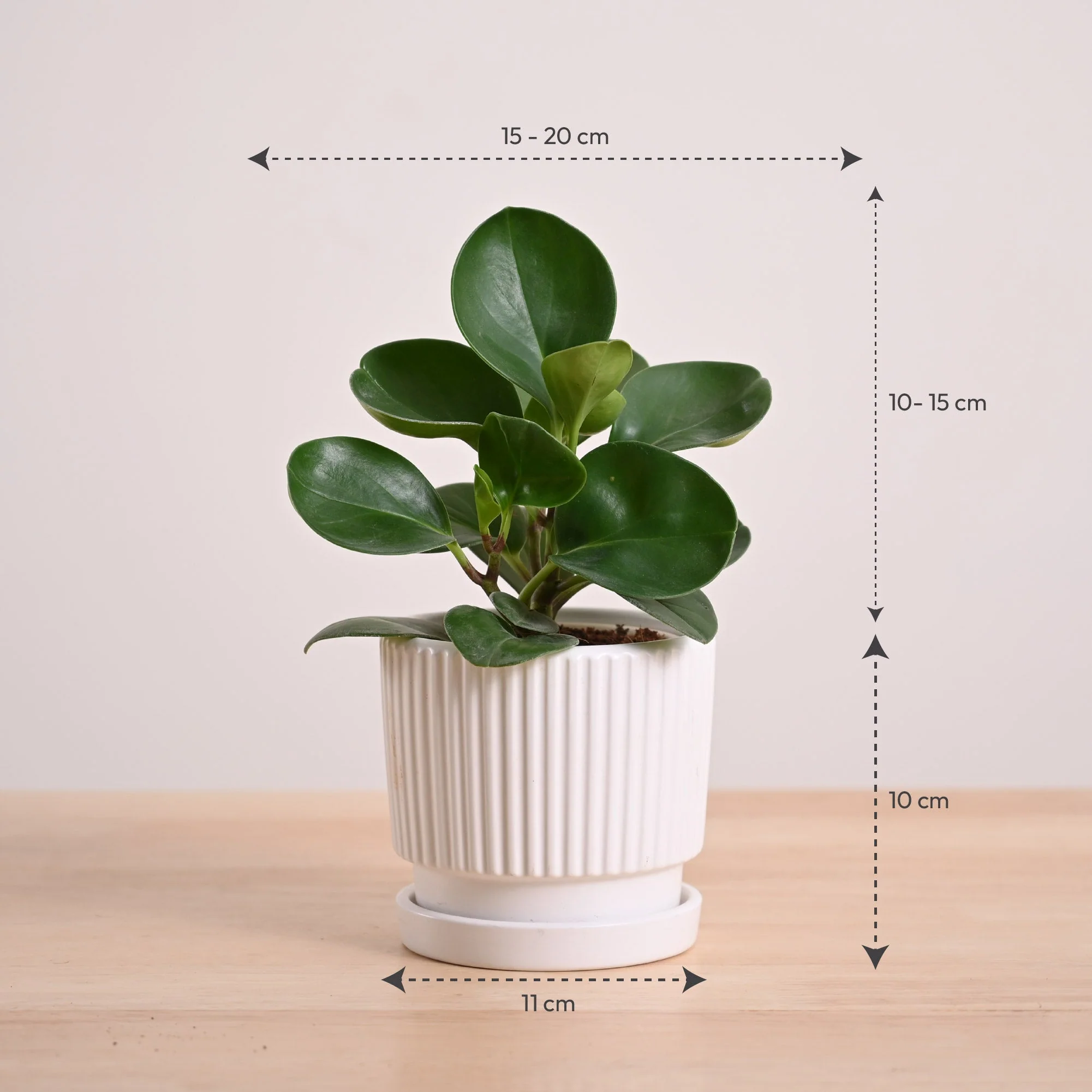 Product image 115