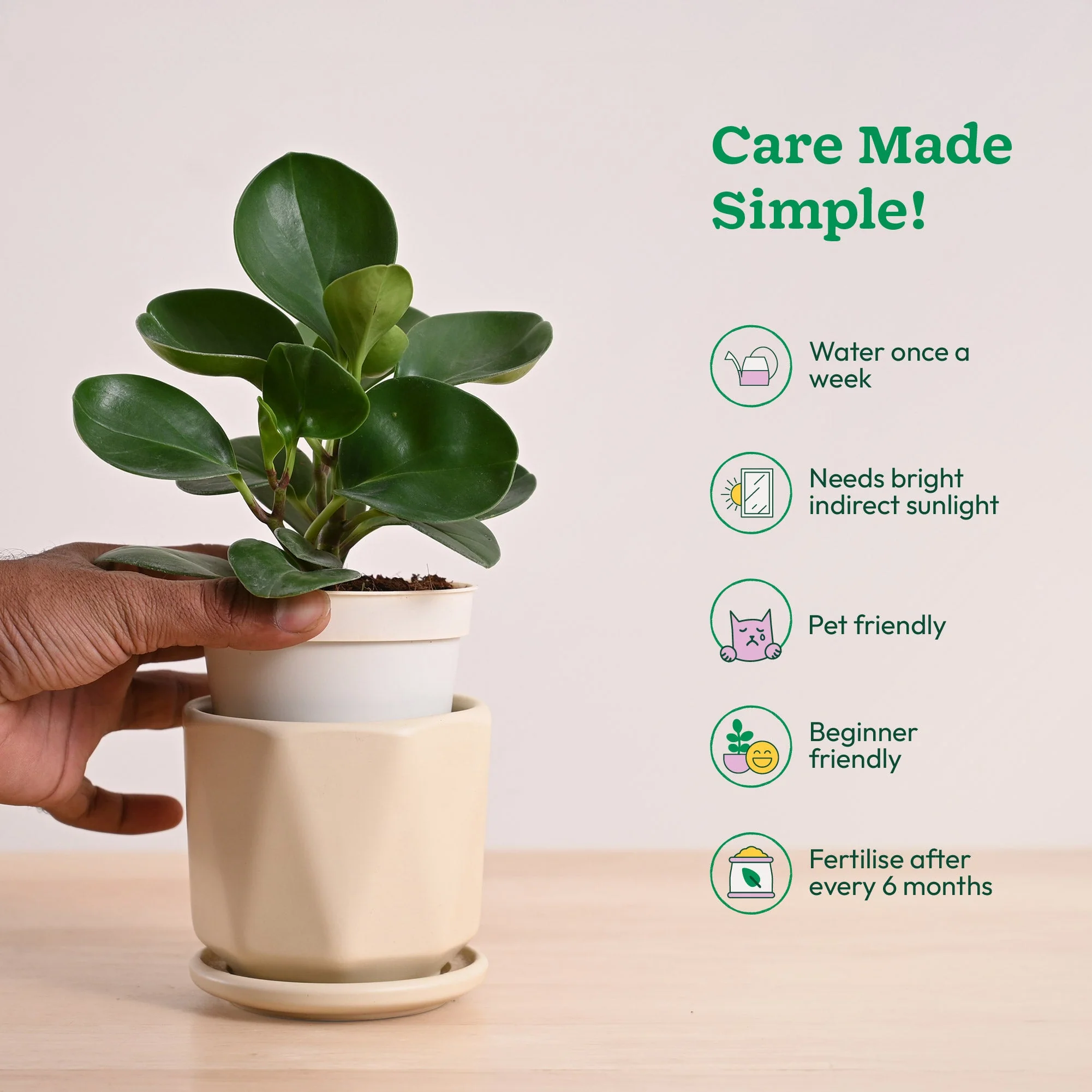 Product image 64