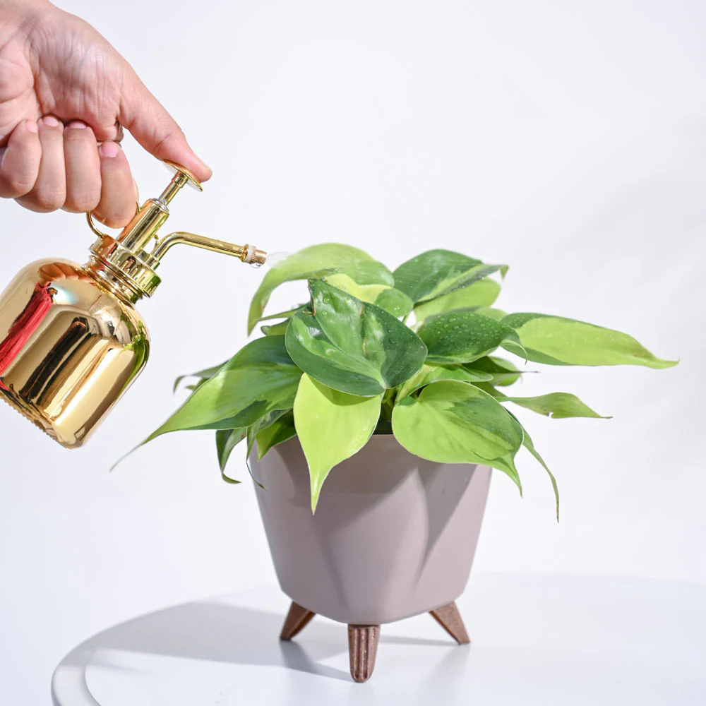 Product image 126
