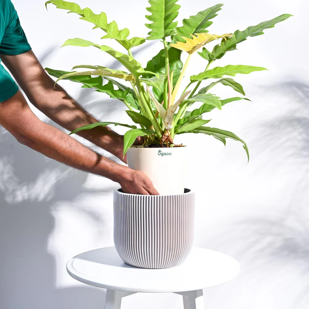 Product image 70