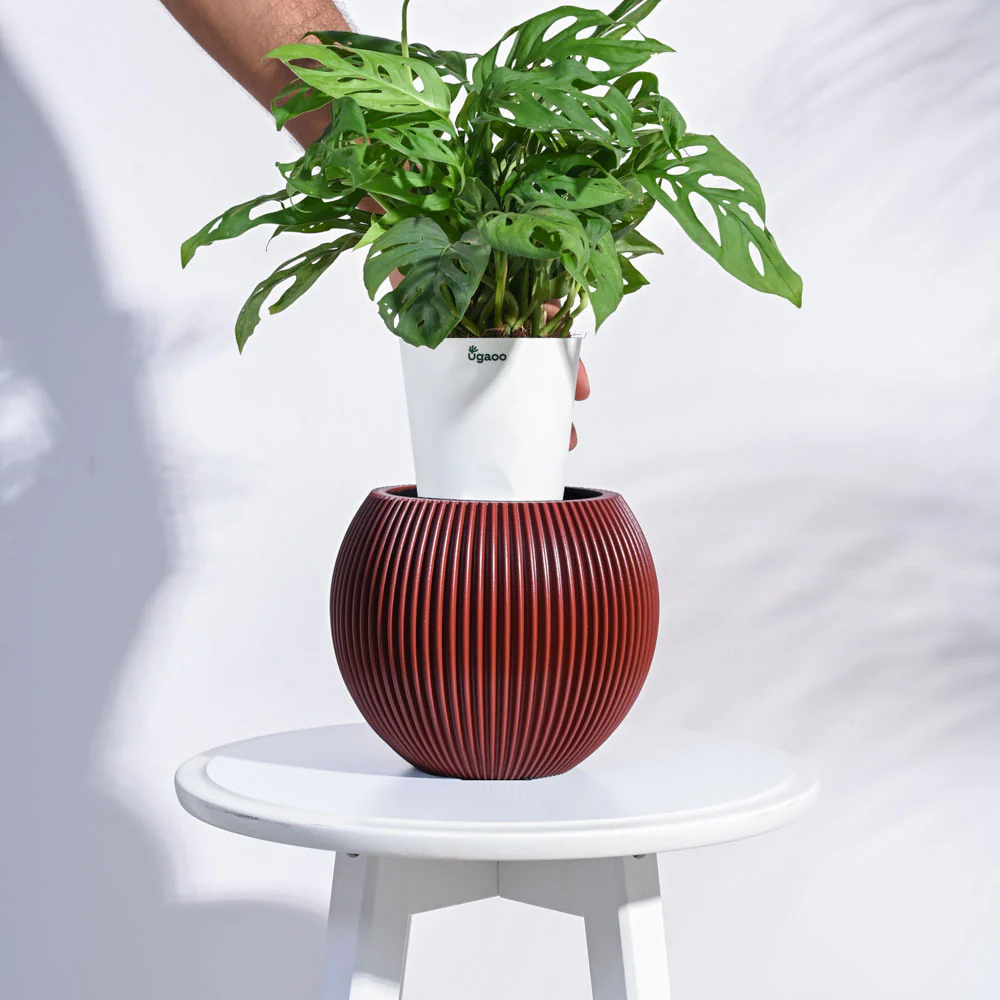 Product image 70